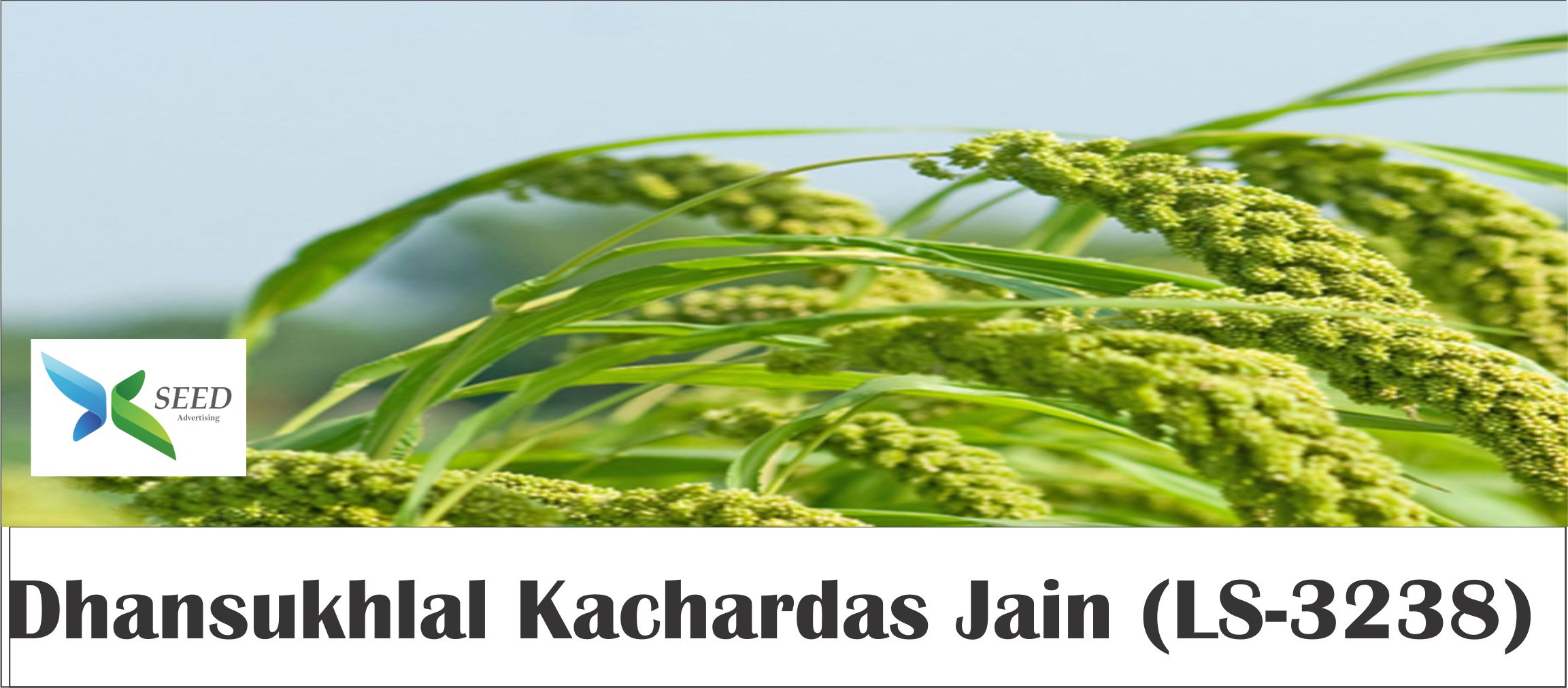 Dhansukhlal Kachardas Jain