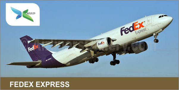 FEDEX EXPRESS