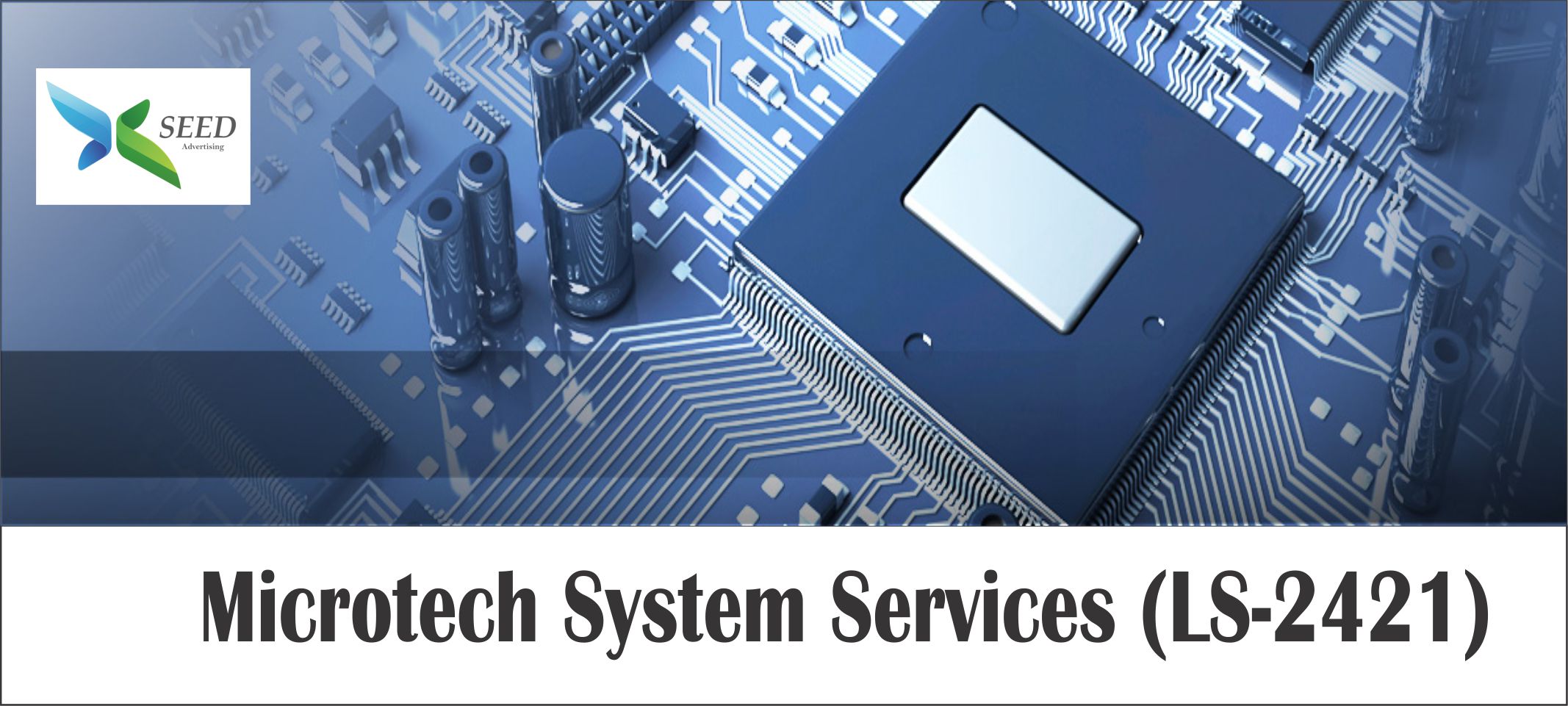 Microtech System Services 