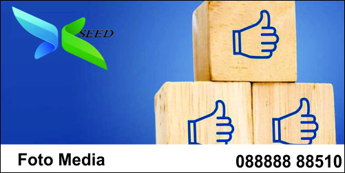 Foto Media