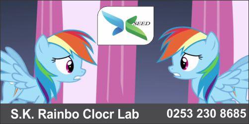 S K Rainbo Color Lab