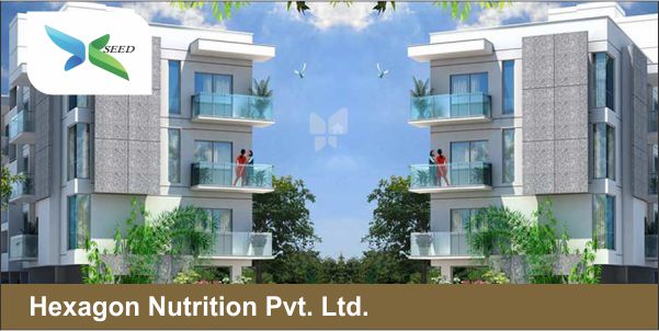 Hexagon Nutrition Pvt. Ltd.