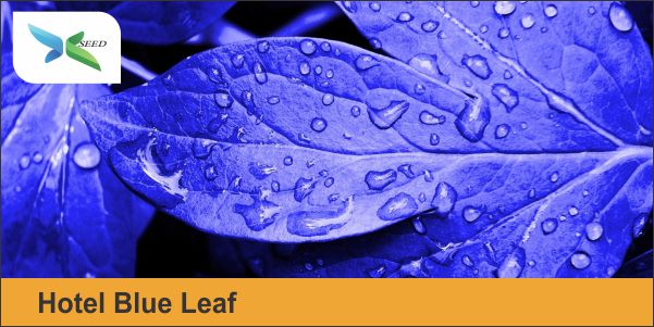 Hotel Blue Leaf