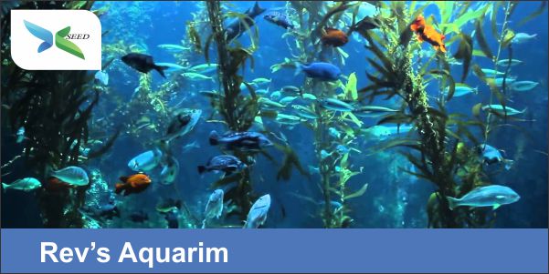 Rev's aquarium
