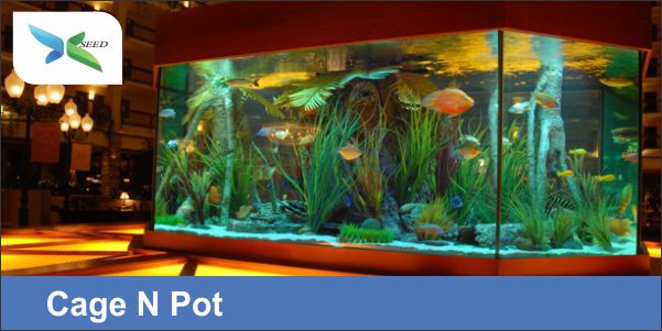 Cage N Pot
