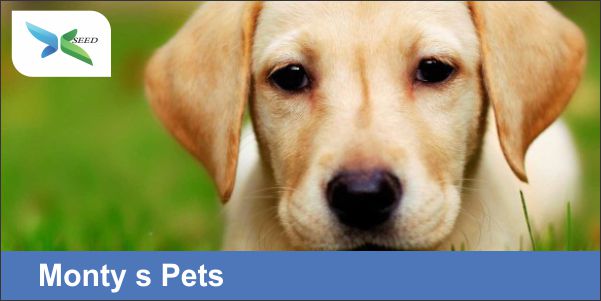 Monty s Pets