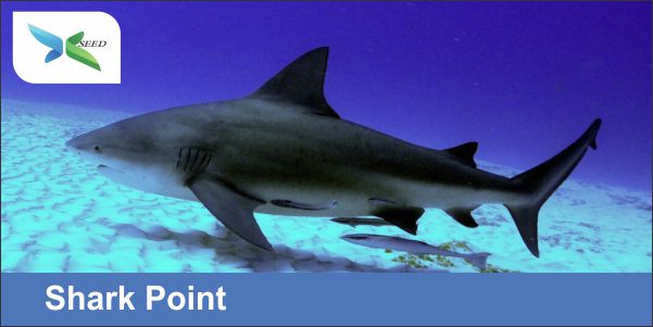 Shark Point