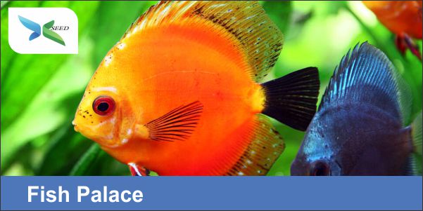Fish Palace