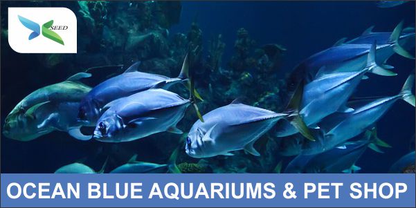 OCEAN BLUE AQUARIUMS AND PET SHOP