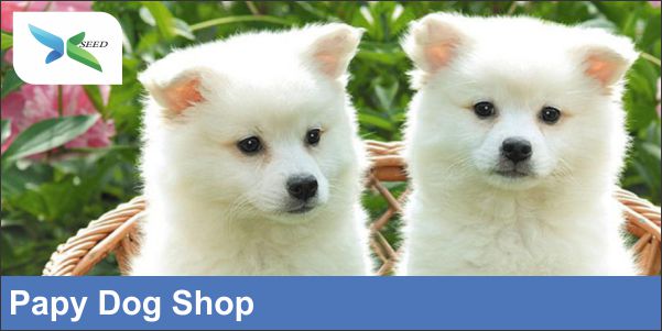 papy dog shop