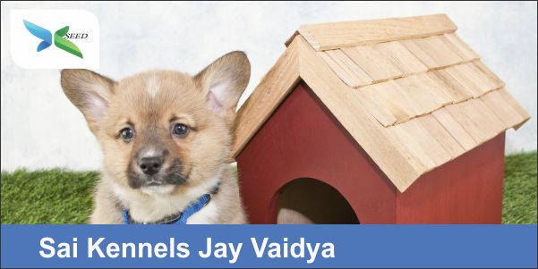 Sai Kennels Jay Vaidya