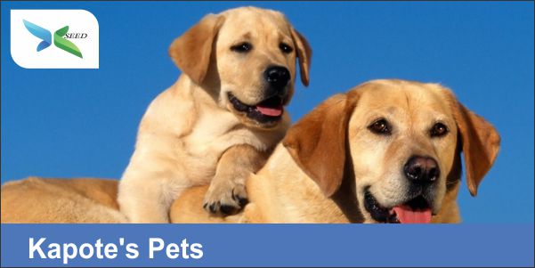 Kapote's Pets