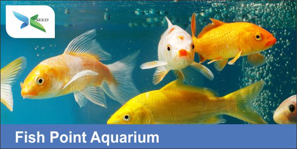 Fish Point Aquarium