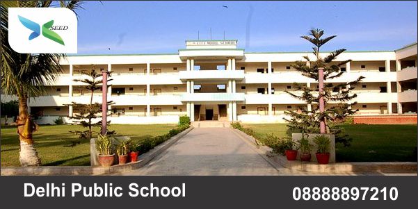 Delhi Public School