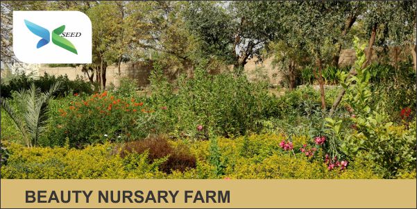 BEAUTY NURSARY FARM